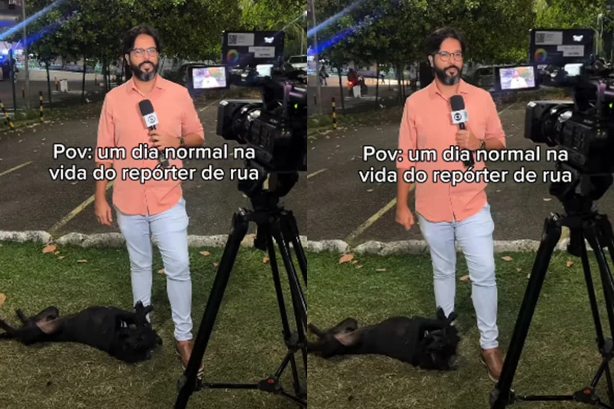 Cão 'Invade' Reportagem AO VIVO na TV Bahia, Rouba a Cena e Revela Drama com Final Surpreendente!